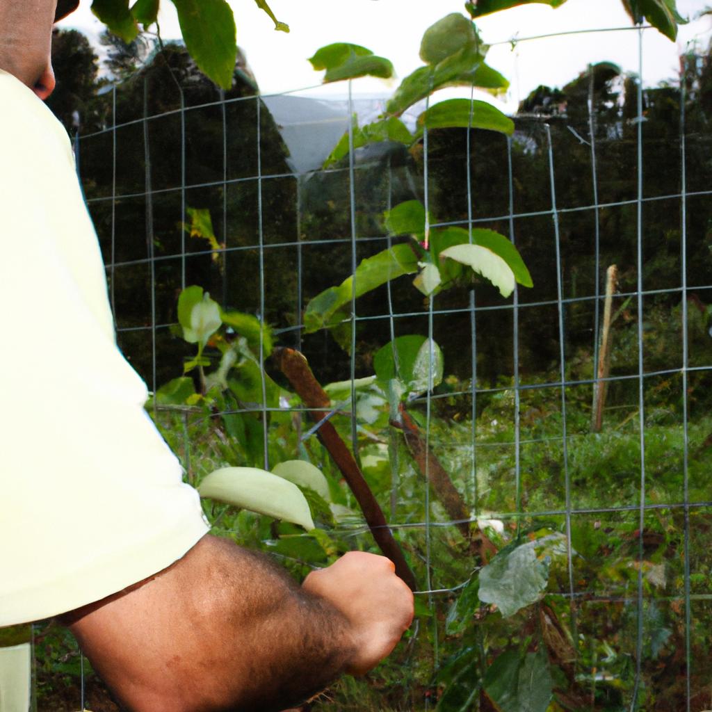 Person practicing sustainable agroforestry